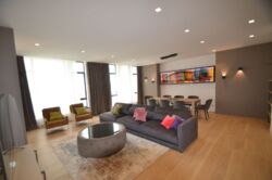  Park Avenue Vip  9