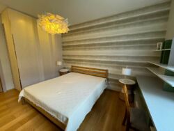 Здається квартира Київ, Шевченківський, Пирогова ул., 2, м. Університет фото 12 Здається квартира Київ, Шевченківський, Пирогова ул., 2, м. Університет фото 12