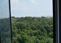  3 105    Busov Hill    3