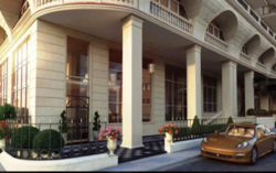  VIP   Renaissance ,   10  2