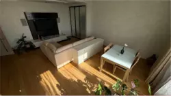   ,  ., 49, .    1