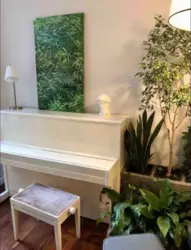 Здається квартира Прорезная ул., 18/1, Київ, Шевченківський, м. Золоті ворота фото 3 Здається квартира Прорезная ул., 18/1, Київ, Шевченківський, м. Золоті ворота фото 3