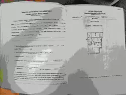 ������ �������� ����� �������� ���. (����� ����), 7 ���� 25