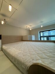 Здається квартира Київ, Шевченківський, Пирогова ул., 2, м. Університет фото 15 Здається квартира Київ, Шевченківський, Пирогова ул., 2, м. Університет фото 15