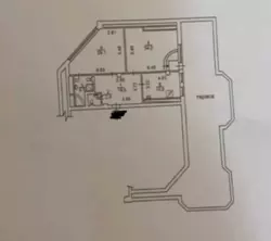   ,  ., 49, .    7