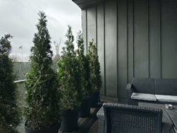   !  Pechersk Hills Residence, . ̳  6