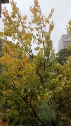 ������� �������� ���, �������������, ����������� ��., 6�, �. ����� ������ ���� 10