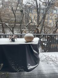   , ,   . ( ( )), 14  14