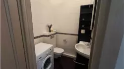   ,  ., 49, .    4