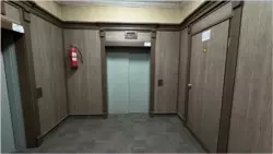   ,  ., 49, .    5