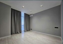 Park Avenue ( '  VIP')   . , 쳿 . 29  12