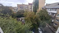   , ,   ., 6, .    17