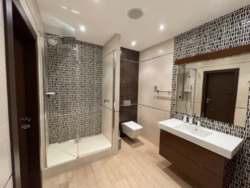 Park Avenue   | 1062 |    9