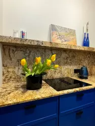 ������� �������� ���������-���������� ��. (����������), 17, ���, �������������, �. ����� ������ ���� 17