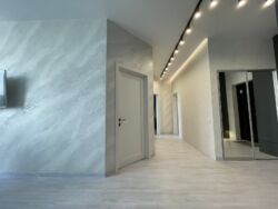  3- (81 2)     Tetris Hall,   2  8