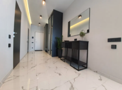  2-  (75 2)    PARK AVENUE VIP,  쳿 29  7