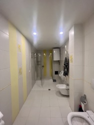   , ,  ., 36, .   15