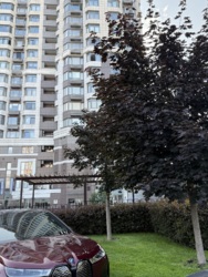 Оренда однокімнатної квартири ЖК Аристократ фото 18 Оренда однокімнатної квартири ЖК Аристократ фото 18