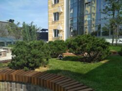 Оренда трикімнатної квартири в ЖК Smart Plaza Polytech фото 15 Оренда трикімнатної квартири в ЖК Smart Plaza Polytech фото 15