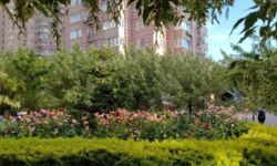 Здається квартира Київ фото 9 Здається квартира Київ фото 9