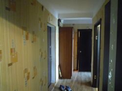 Здається квартира Київ фото 5 Здається квартира Київ фото 5