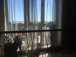 ������� �������� ��� ���� 20