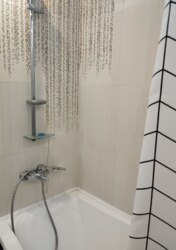 ������� �������� ��������, 11, �����������, ����������� ���� 4