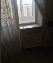 ������� �������� �����������, ����������� ���� 7