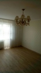 ������� �������� �����������, �����������, ������ ���� 1