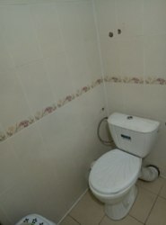 ������ 2 ������� �������� �� �� -����� ���� 4