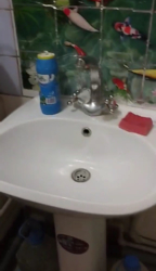 ������� 2-��������� �������� �� ������ ���� 5