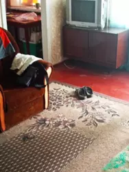 ������� 4-� ��������� �������� �� ������ ���� 3