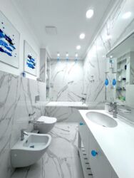 Park Avenue VIP 220 2  33  .  11