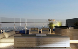 ���� �������� �� �������� ���� 13