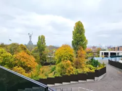   , ,  ., 28, .   6