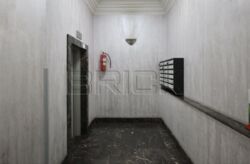 ������� �������� ������������ ��., 49�, ���, ������������� ���� 21