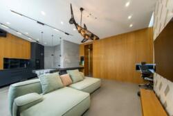 ������� �������� ���, ����������, ��� ������� (���������), 37/1 ���� 2