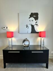 3-  (88 2)   Park Avenue  VIP,  .   (40- ) 60.  4