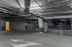 ������� �������� �������� ���� ��., ���, ���������� ���� 11