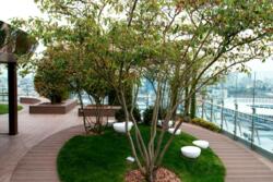 ������� �������� ���, ����������, ������������� ��., 37� ���� 20