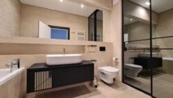 ������� �������� ���������-���������� ��. (����������), 17�, ���, ������������� ���� 14