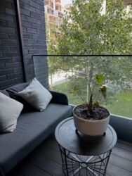 ������� �������� ���, ����������, ���������-���������� ��., 3 ���� 6