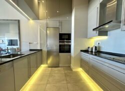 3-  (88 2)   Park Avenue  VIP,  .   (40- ) 60.  8