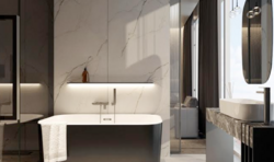 ���� �������� �� �������� ���� 12