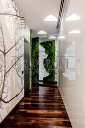 ������� �������� ���, ����������, ������ ����� II, 6/1 ���� 20