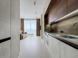 ������� �������� ���������-���������� ��. (����������), 17�, ���, �������������, �. ����� ������ ���� 4