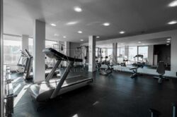 ������� �������� �������� ���., 61, ���, ���������� ���� 24