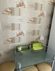 Длительно без выселения на лето. фото 4 Длительно без выселения на лето. фото 4