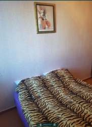 Сдам на очень длительный срок 2х комнатную квартиру в центре города. фото 6 Сдам на очень длительный срок 2х комнатную квартиру в центре города. фото 6