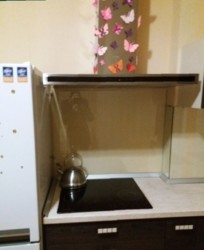 Сдам большую однокомнатную в новом доме фото 2 Сдам большую однокомнатную в новом доме фото 2